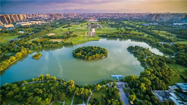 1601259299933796.jpg 640.webp (11).jpg