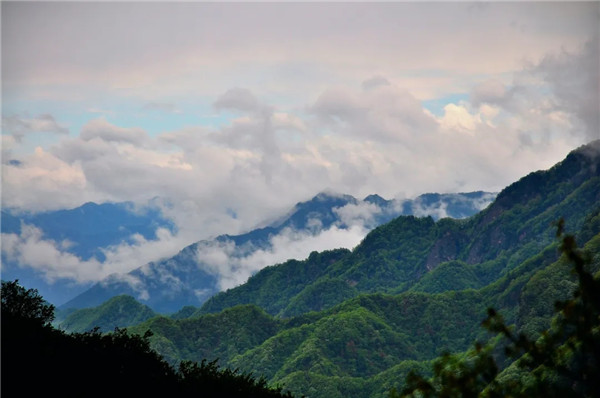 1601259352284161.jpg 640.webp (13).jpg